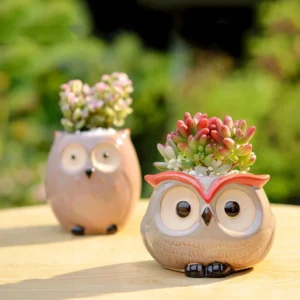 Pot Fleur Hibou Céramique Adorable – Cache-Pot Jardin