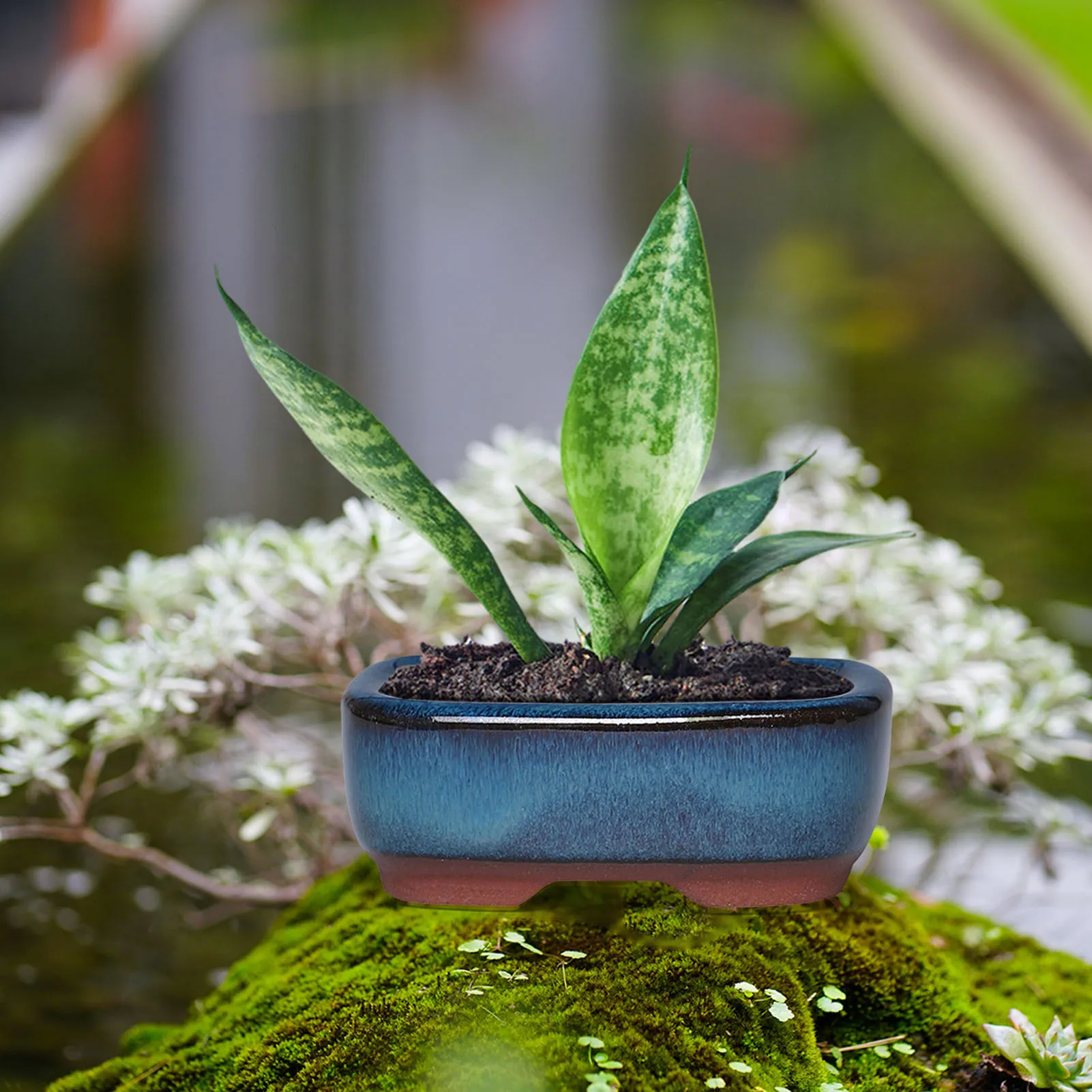 Pot Céramique Plante Idéal – Cache-Pot Intérieur Extérieur
